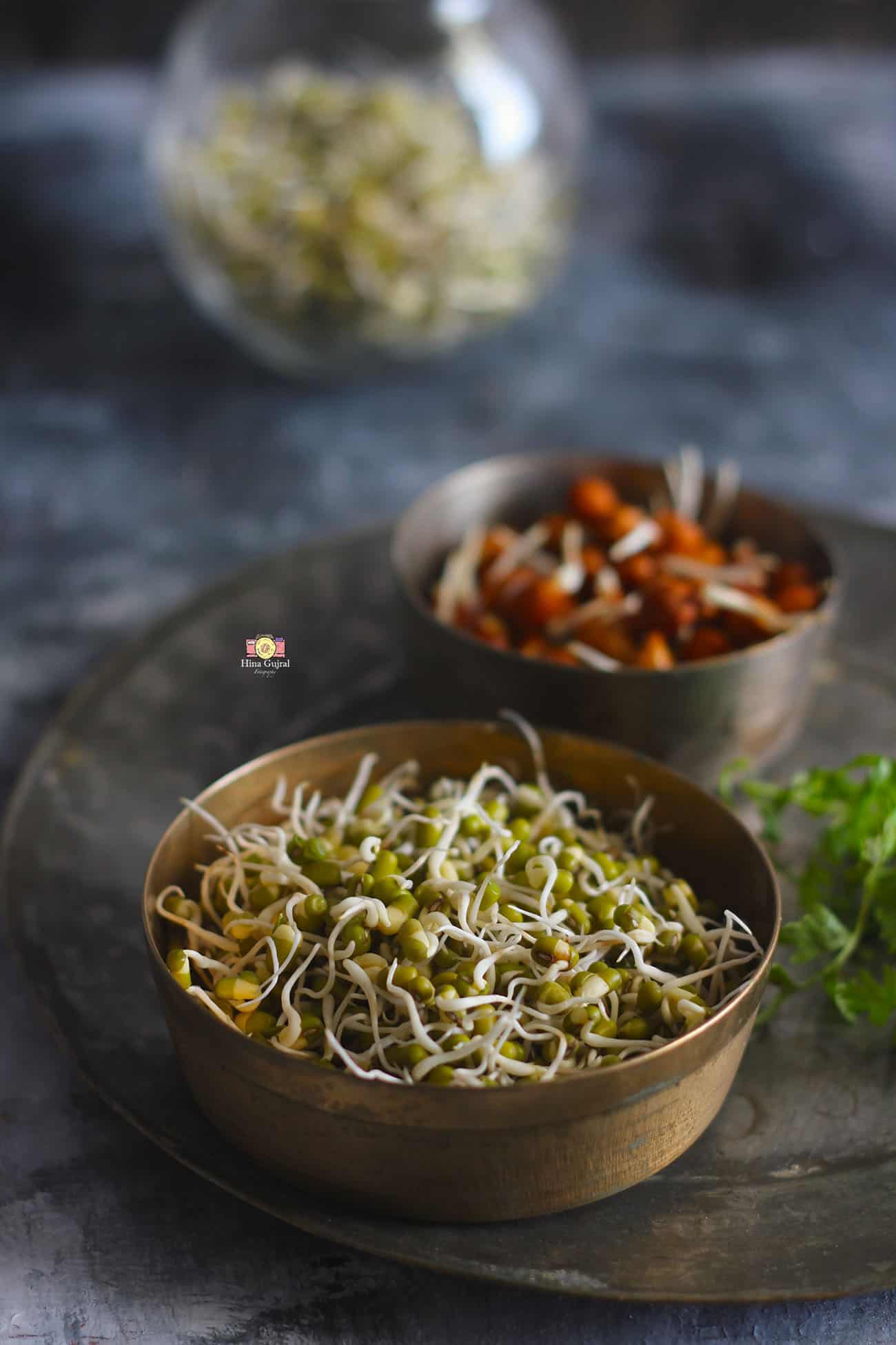 How to make sprouts at home (Homemade Sprouts Recipe) Fun FOOD and Frolic