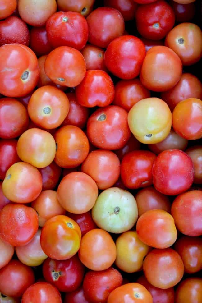 aerial close up shot of fresh tomato