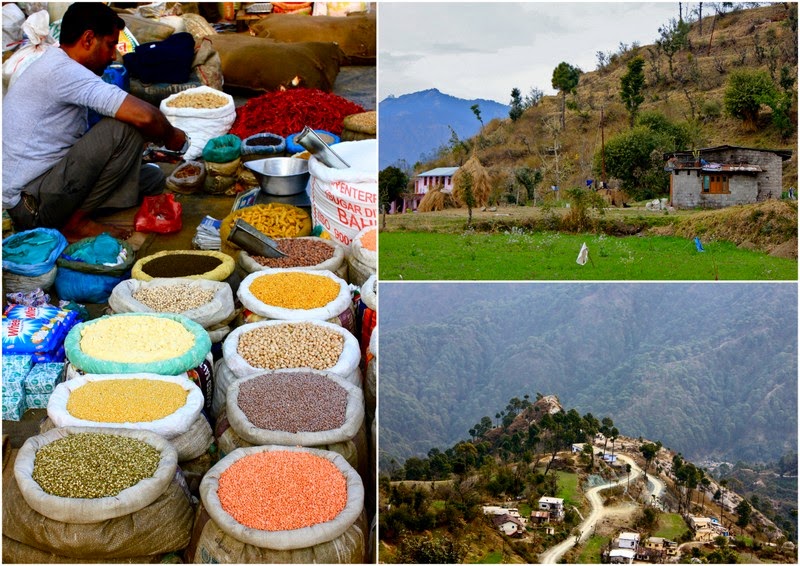 A collage of landscapes from Kumaon Hills.