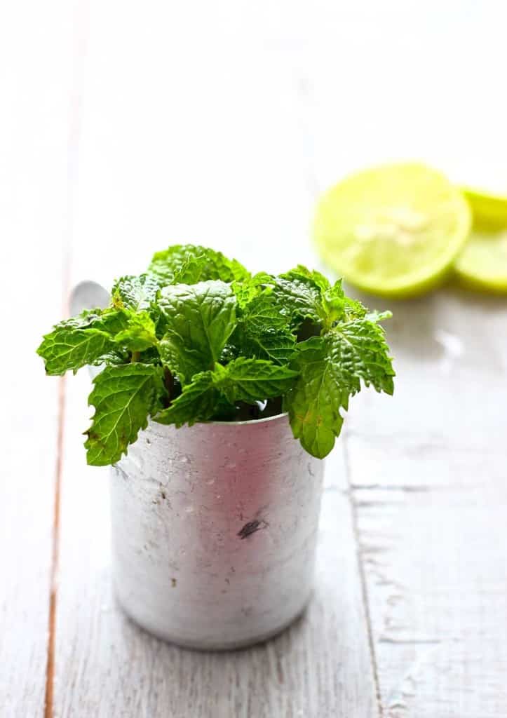 Nimbu Pudina Sherbet - our new favorite summer drink. It is incredibly refreshing and super easy to prepare. 