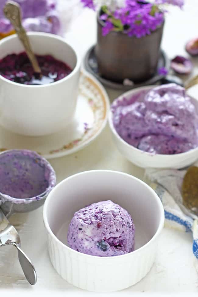 Jamun Frozen Yogurt