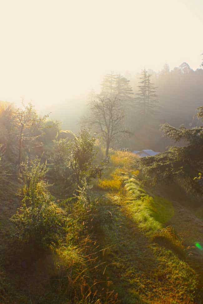 Spiritual Getaway to Jageshwar Dham, Uttarakhand