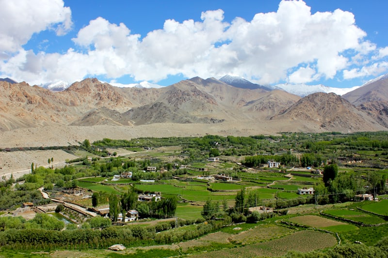 Postcard From Leh