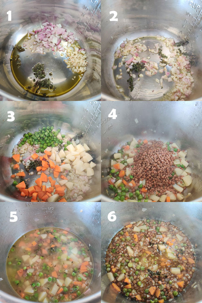 Step by step collage of making stew in an instant pot