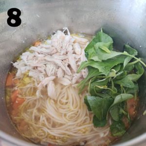 instant pot chicken noodle soup