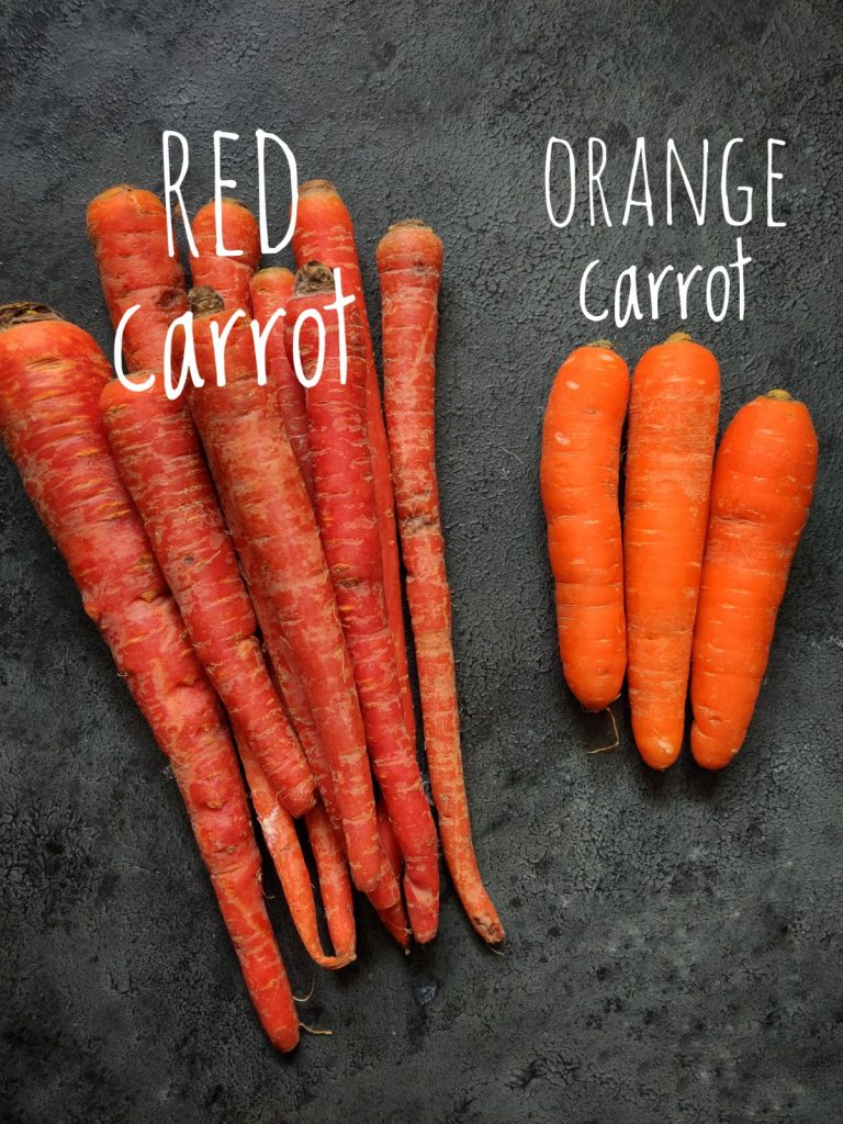 red carrot and orange carrot