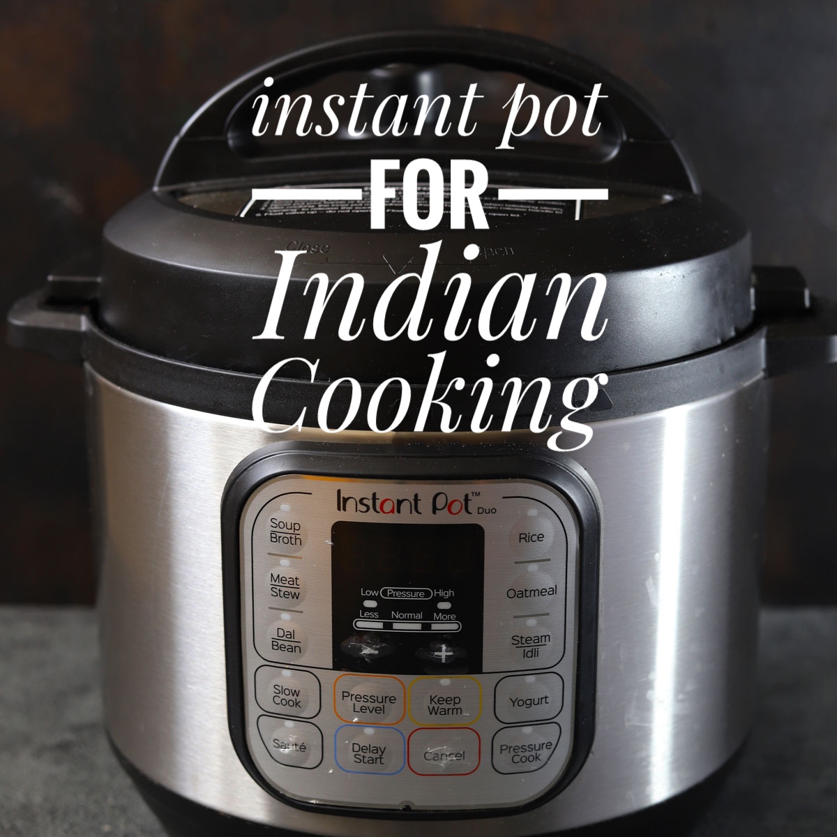 https://www.funfoodfrolic.com/wp-content/uploads/2022/02/Instant-Pot-Thumbnail-01.jpeg