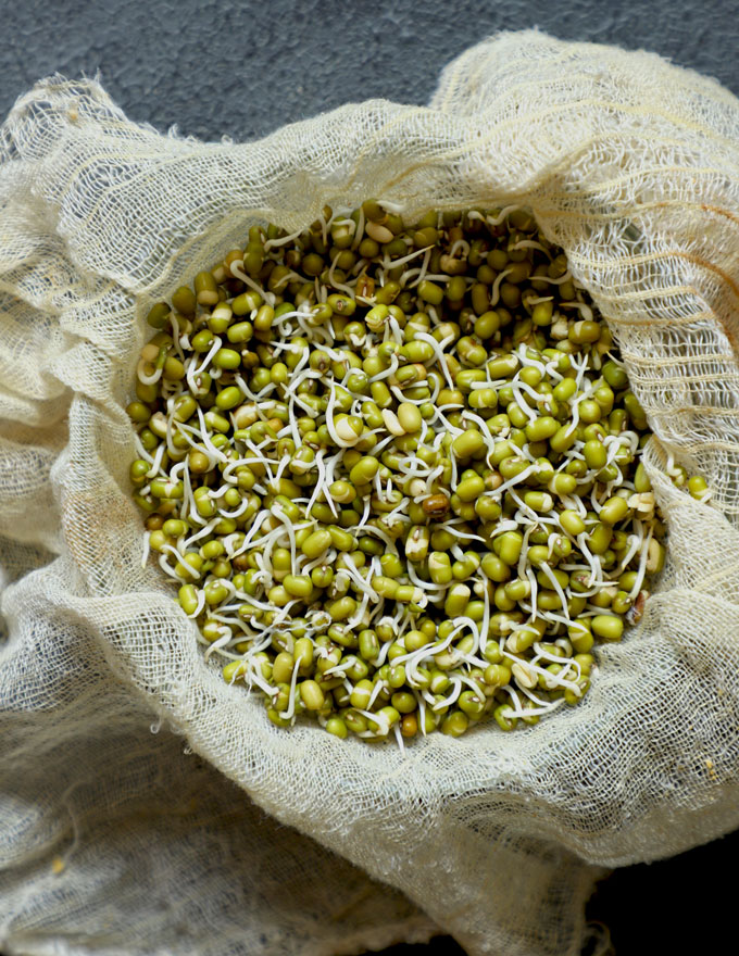 aerial shot of mung bean sprouts in a bowl