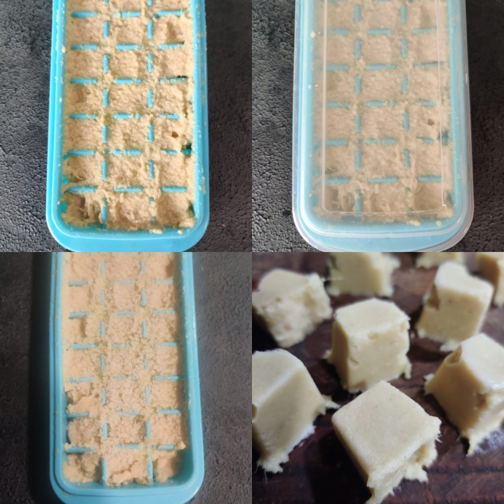 ginger garlic paste frozen cubes