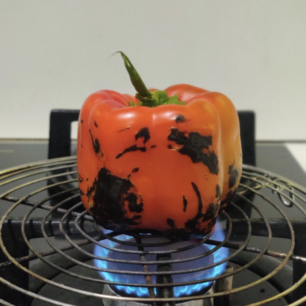 roasting pepper over the fire