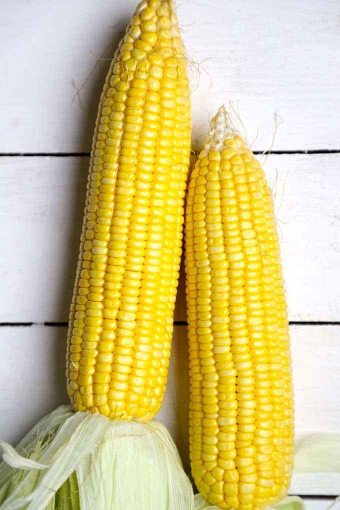 Corn Cob