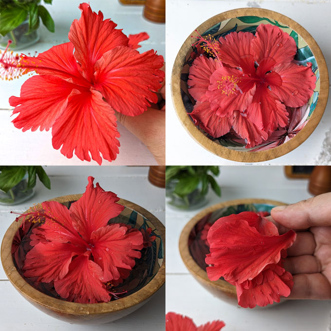 collage of hibiscus tea making steps