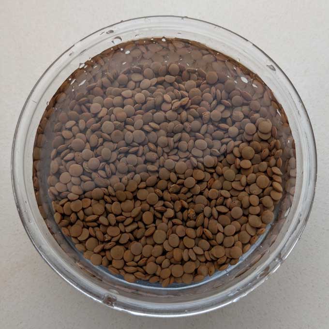 منقوع ماسور كامل