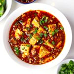 aerial shot of vegan mapo tofu served in a white ceramic bowl. - 14