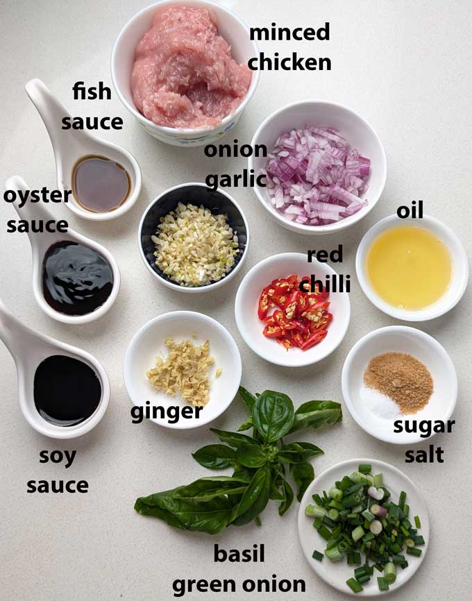 side close up shot of Thai basil chicken served in a white platter. - 8